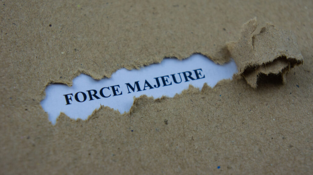 Force majeure leave