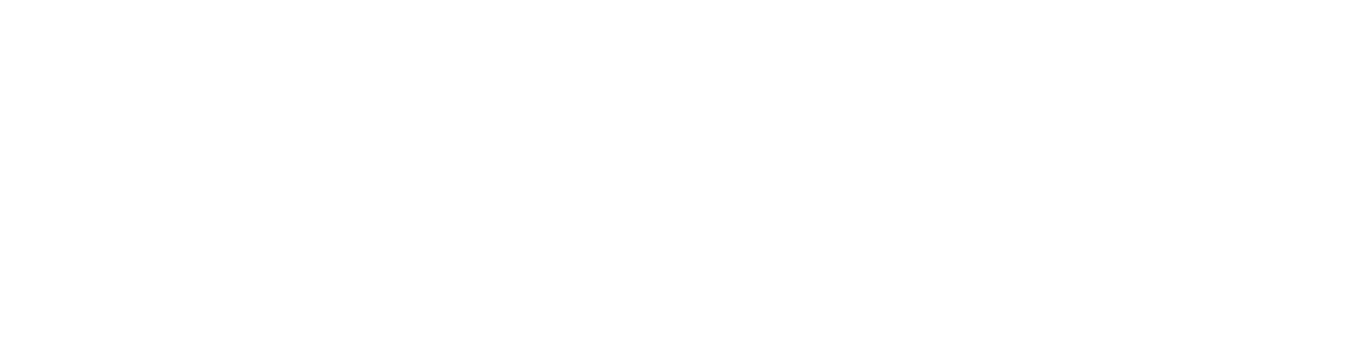 Graphite White Logo